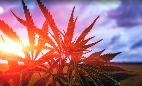 Coastal Wellness Centers