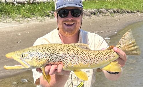 Hatch Finders Fly Shop Livingston