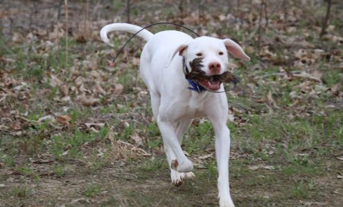 Wil Nor Outdoors Llc Dittmer