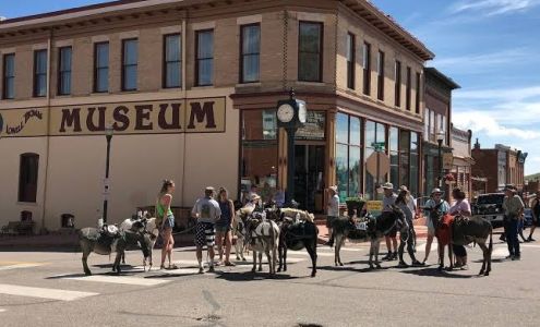 Black Monarch Hotel Victor