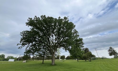 The Island Mini Golf Macon
