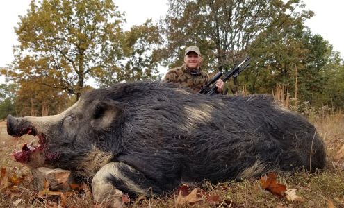 Stone Creek Hunting Ranch Edgar Springs