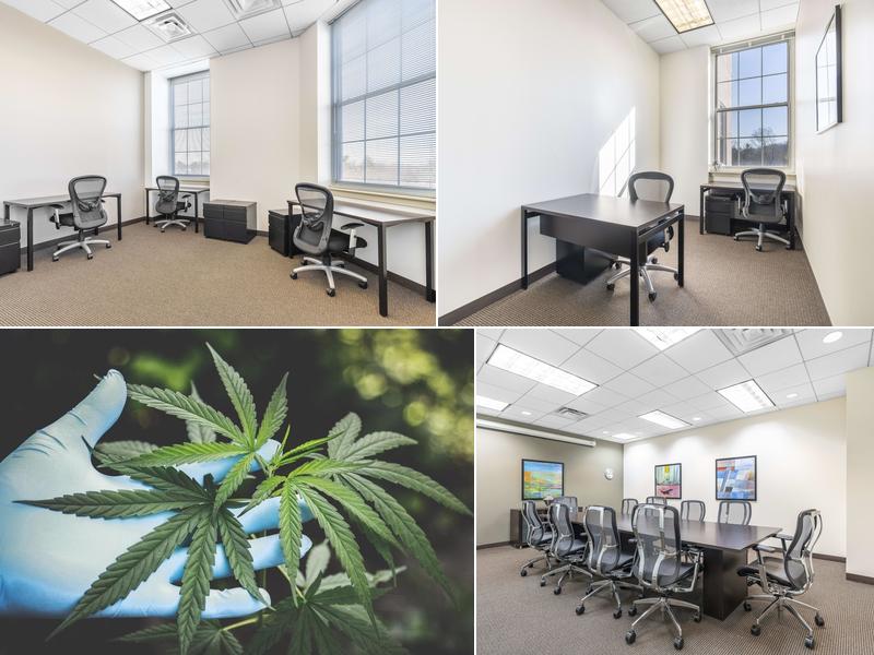 PA Brain Doc -- Medical Marijuana Telemedicine