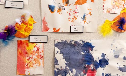 Learning Jungle La Mesa