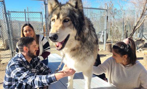 Wolf Mountain Sanctuary Lucerne Valley