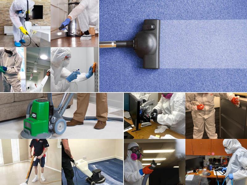 US Carpet Cleaning and Upholstery