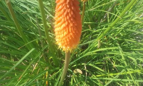 Martinizing Dry Cleaning