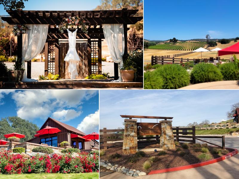 Rancho Victoria Vineyard