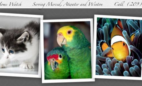 Scotty's Pet and Home Watch