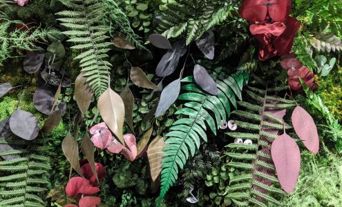 Academy Of Motion Picture Arts And Sciences