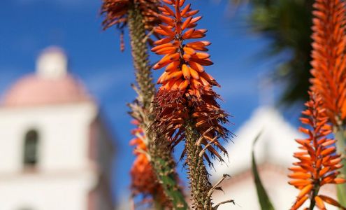 Kind Dermatology and Medical Spa