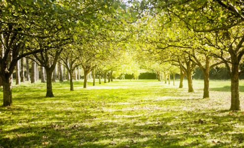 Sanctuary Hospice Westchester