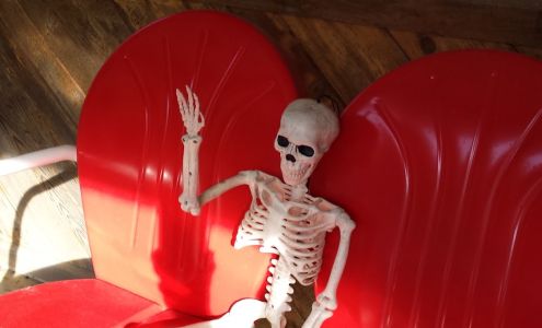 Happy Trails Pet Hotel 6136 N Croswell Rd, St. Louis Michigan 48880