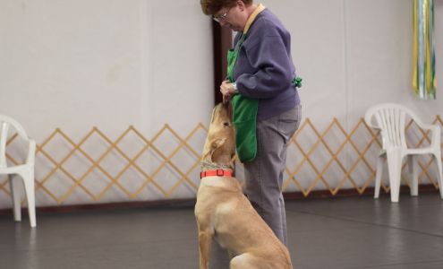 Setterwoods Dog Training 1220 Climax Rd, Chatham Virginia 24531