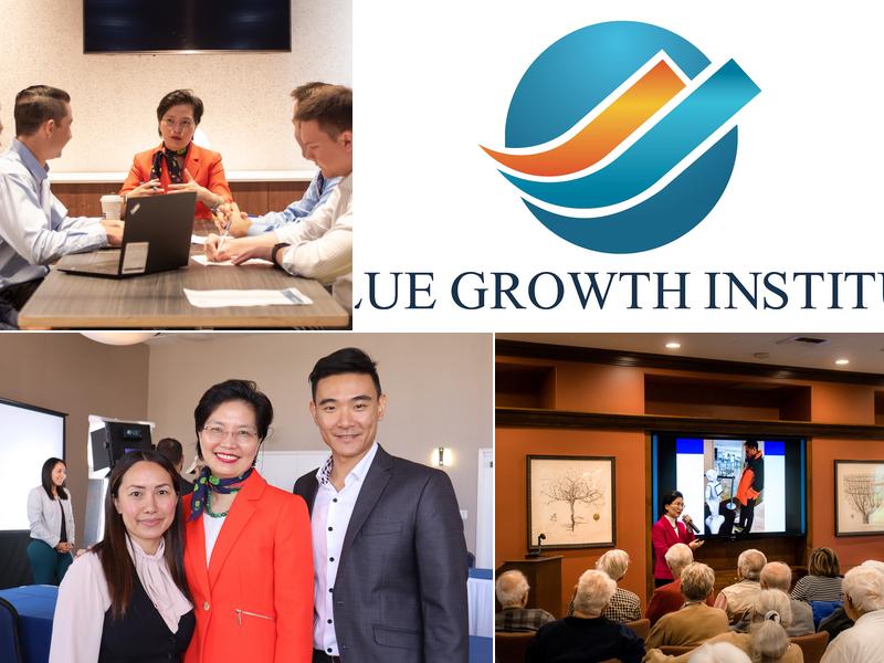 Value Growth Institute