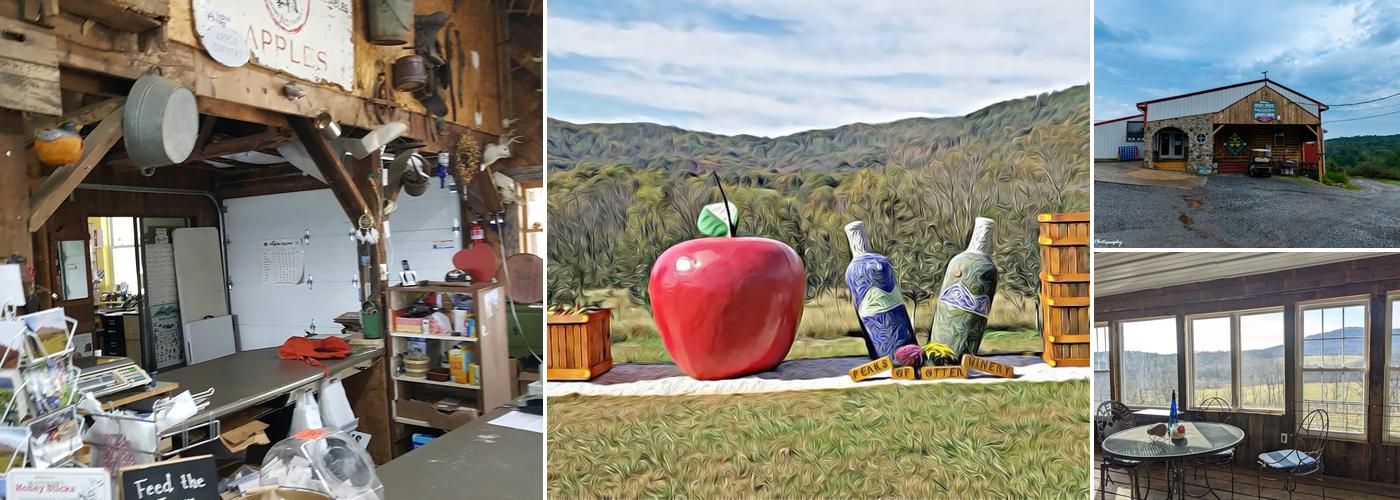 Peaks of Otter Winery