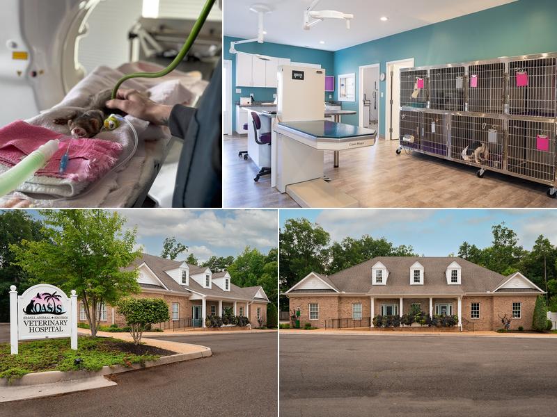 Oasis Small Animal and Exotics Veterinary Hospital