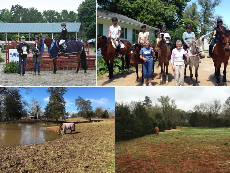 Level Green Riding School