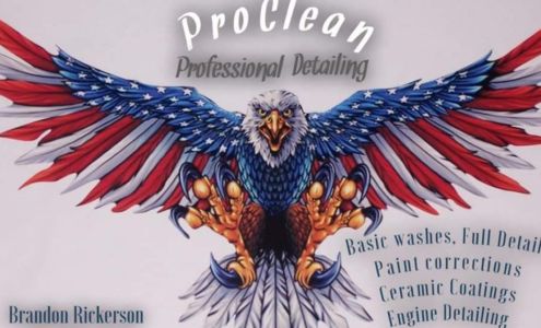 ProClean Professional Detailing