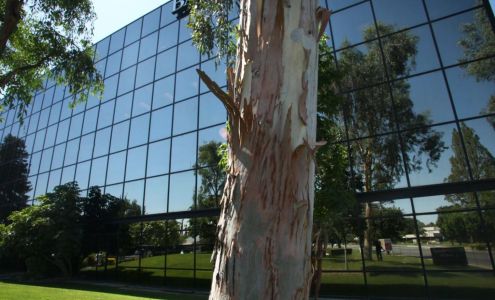 Compassionate Care Home Health and Hospice - Bakersfield