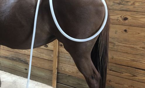 Prime Equine LLC Wayne