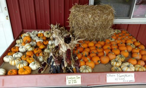 Salatin's Orchard Moores Hill