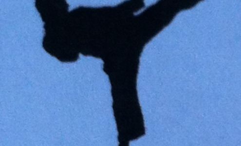 Lion & Lamb Karate Kids