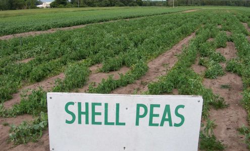 Glendale Farms Inc Clintonville