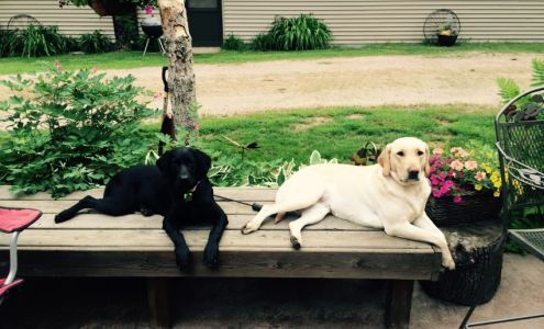 Monday Lake Kennels W4867 Pierce Rd, Sarona Wisconsin 54870