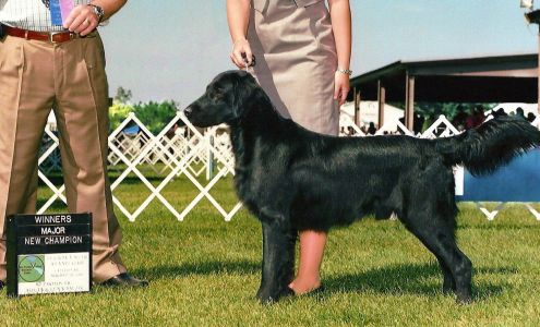 ActScent Kennel 20209 Logging Creek Trail, Grantsburg Wisconsin 54840