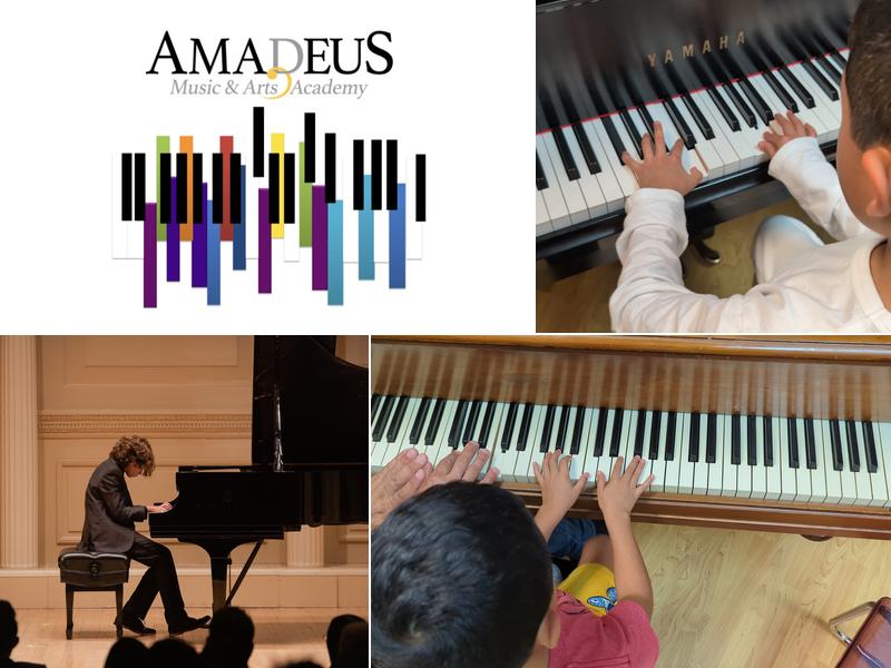 AMADEUS MUSIC AND ARTS ACADEMY