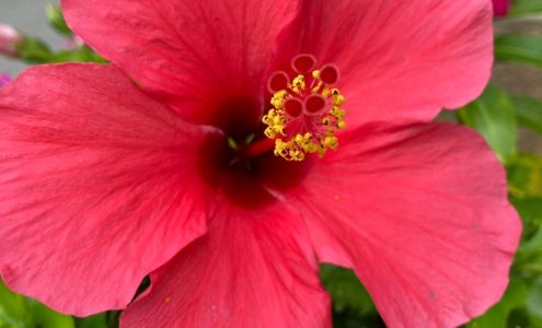 Belmont University - Wilson Music Building