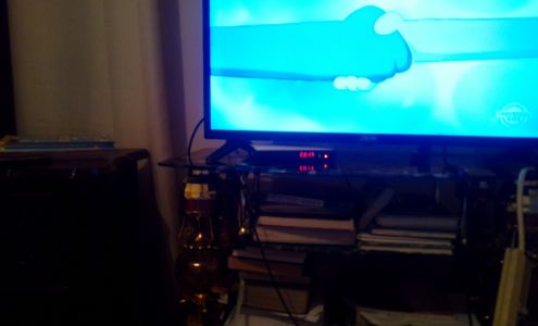 Tide Me Over Charters Ocean View