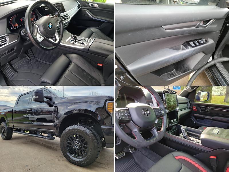 Dawg Family Detailing