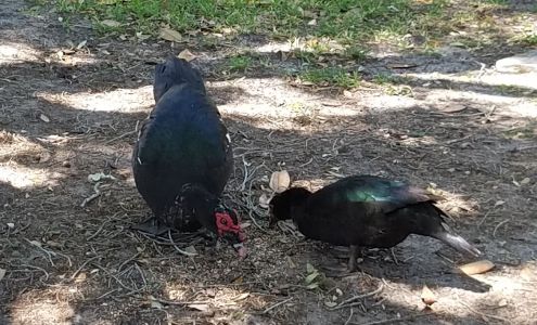 Best HVAC Repair Service