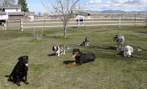 Clark's Canine Camp 455 Moiese Ln, Stevensville Montana 59870