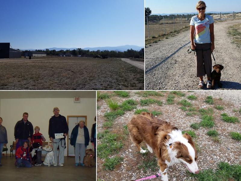 Hayes Professional Dog Training