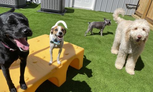 Santa Paws Ultimutt Retreat Santa Claus Indiana 47579