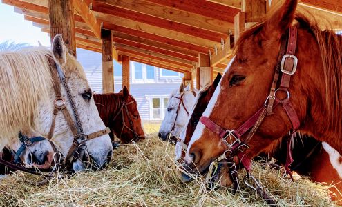Long Beach Family Horse Rides 401 Sid Snyder Dr, Long Beach Washington 98631
