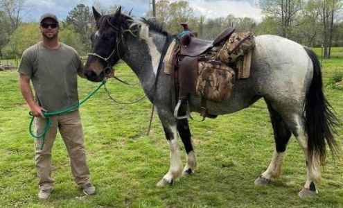 Burks Equestrian Services Morris Chapel
