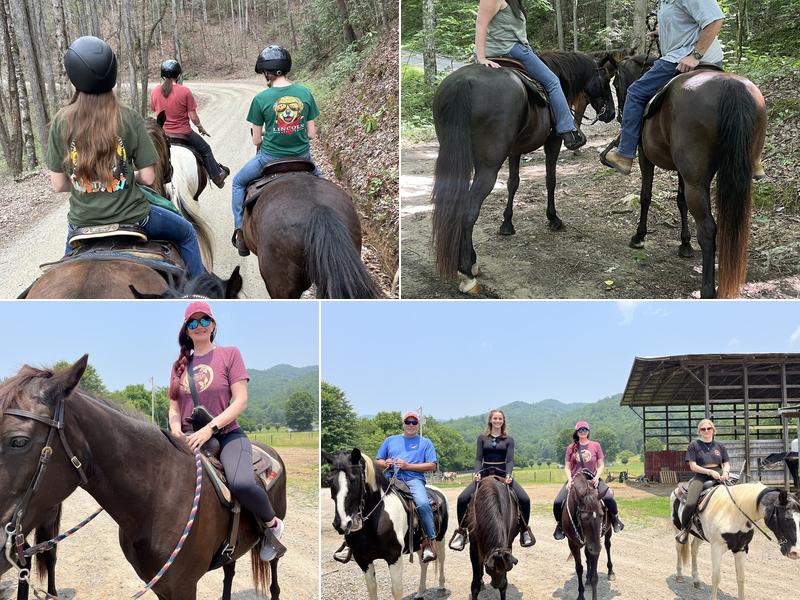 Horseshoe Creek Riding Stables