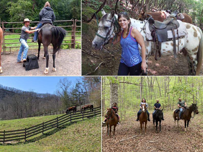 Chunky Gal Stables LLC