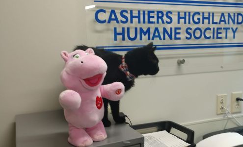 Cashiers Highlands Humane Society Sapphire
