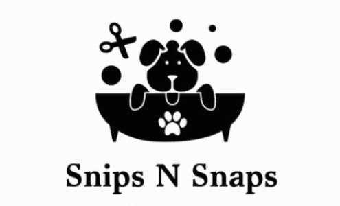 Snips N Snaps 305 4th St SW, De Smet South Dakota 57231