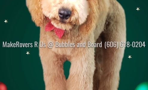 Bubbles and Board 8091 KY-57, Vanceburg Kentucky 41179