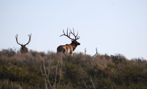 Juniper Mountain Ranch Saint Anthony