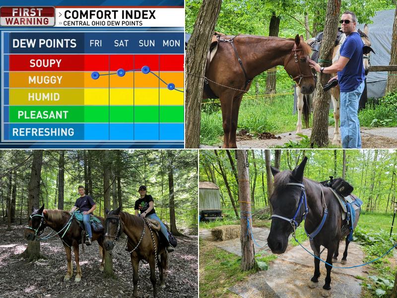 Blue Moon Acres, LLC