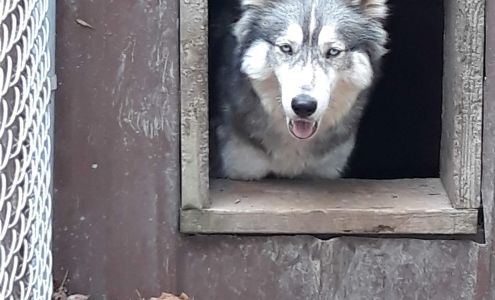Rolling Acres Boarding Kennel