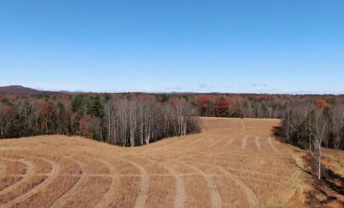 Waterfall Preserve NC Quail, Chukar, Pheasant Hunting Preserve Olin