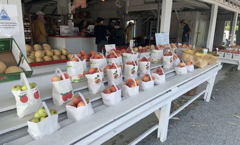 Chappell Peaches Eagle Springs